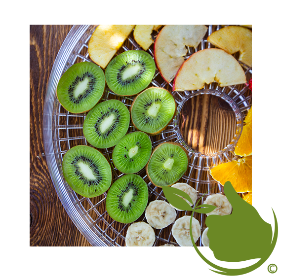 Food dehydrator NAT-02 - Sustainable lifestyle